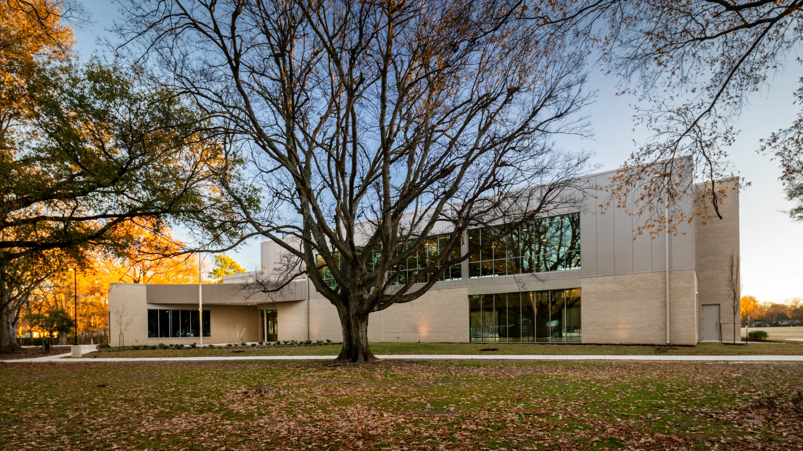 The center among autumn trees
