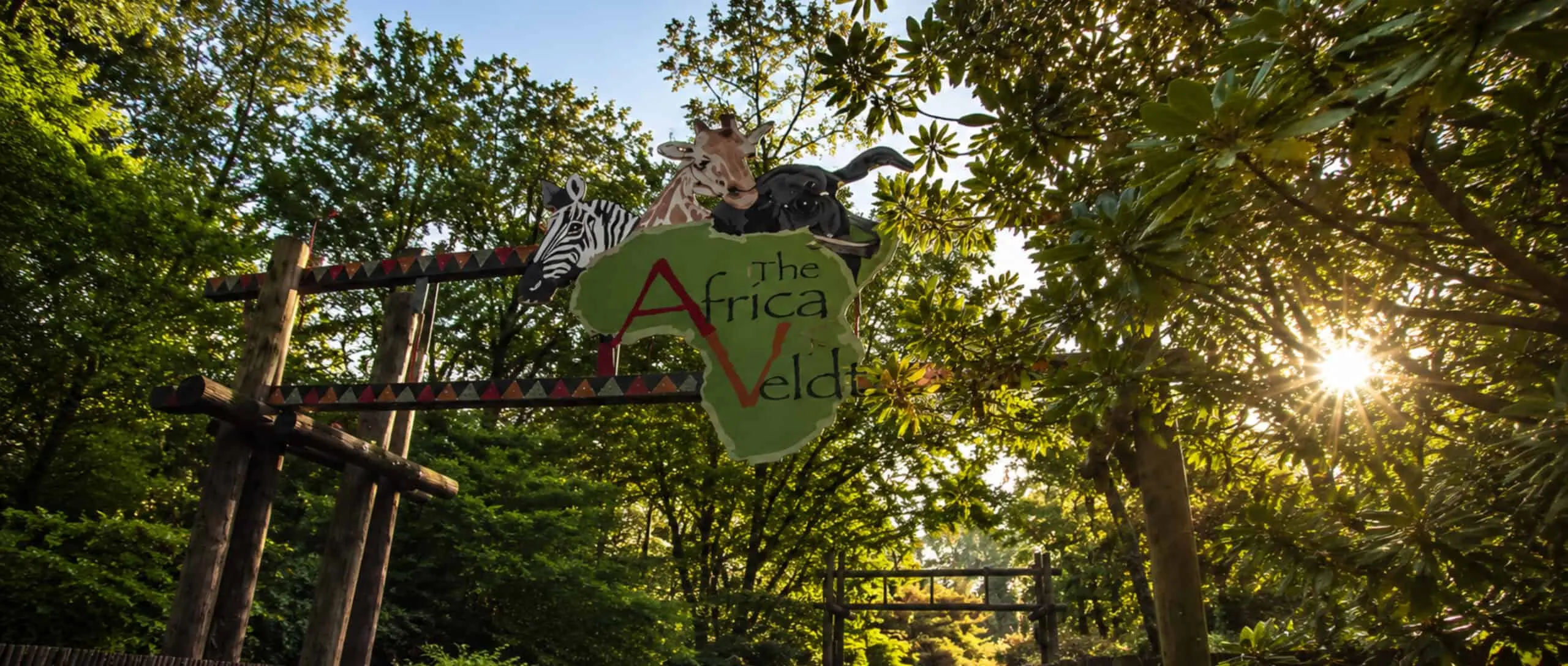 An entry sign among trees in the Africa exhibit, sun through the leaves